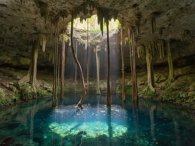 Underground cenote near Cuzama with crystal clear turquoise water, stalactites hanging from the limestone ceiling, and tree roots reaching down