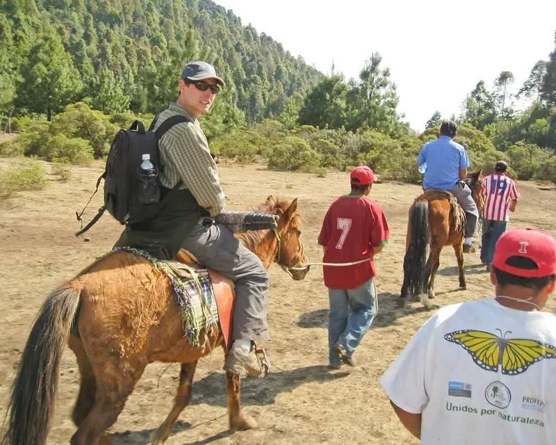 Cerro Pelón butterfly sanctuary in Michoacán, Mexico, showing forested mountains