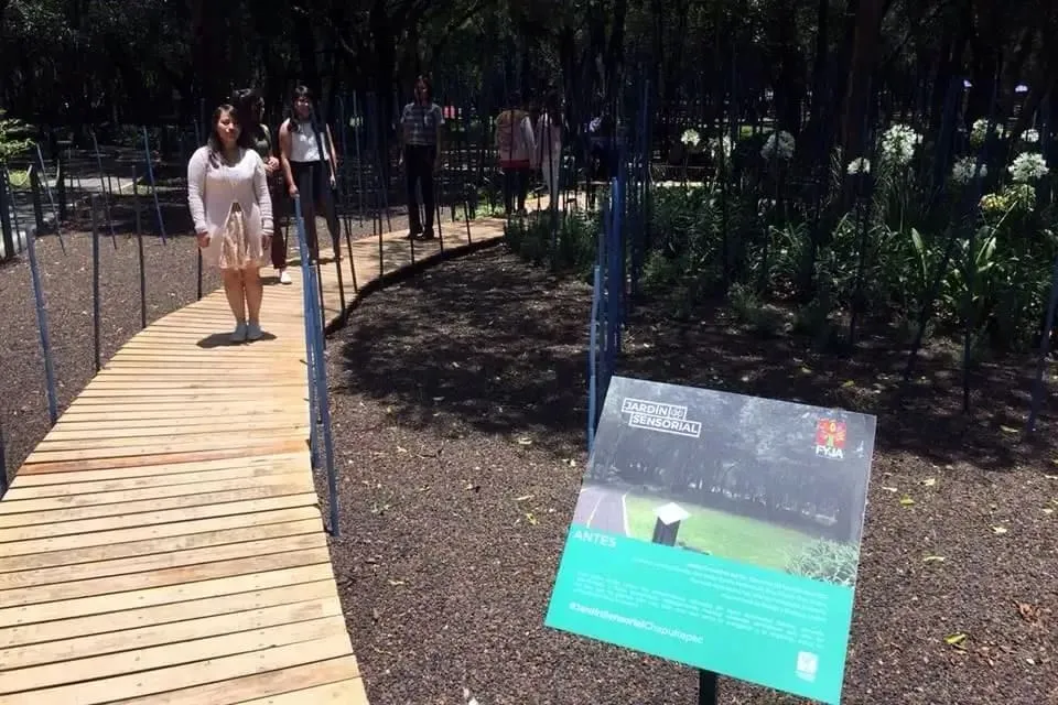 Sensory garden path with plants and tactile features in Chapultepec