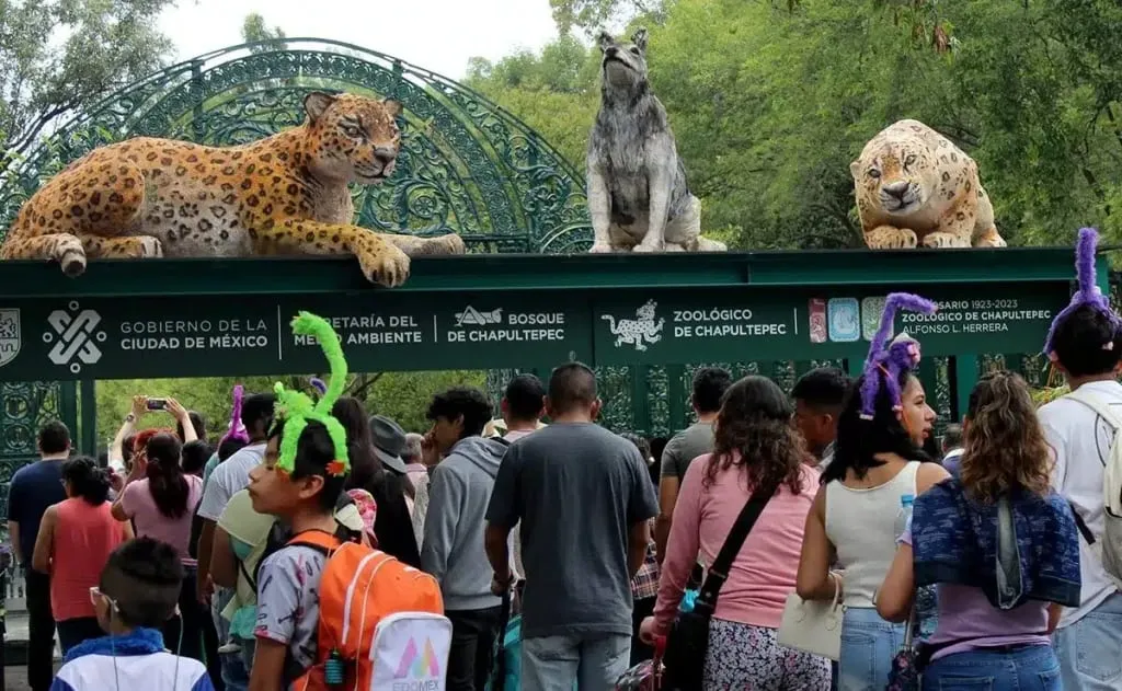 Pathway and animal enclosures inside Chapultepec Zoo in Mexico City