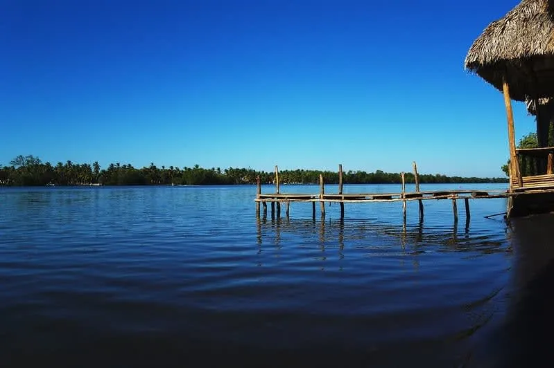Chocohuital beach with estuary mangroves behind the shore