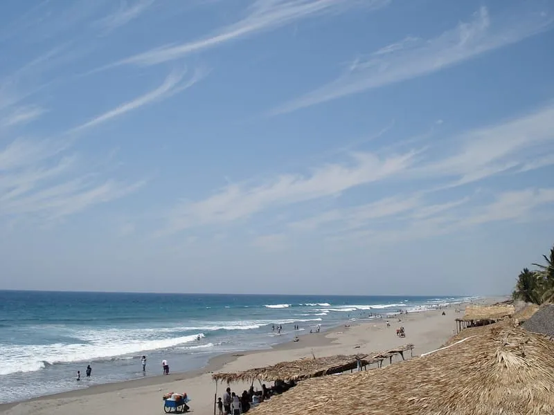 Palm-lined Puerto Arista shoreline with gray sand and Pacific surf