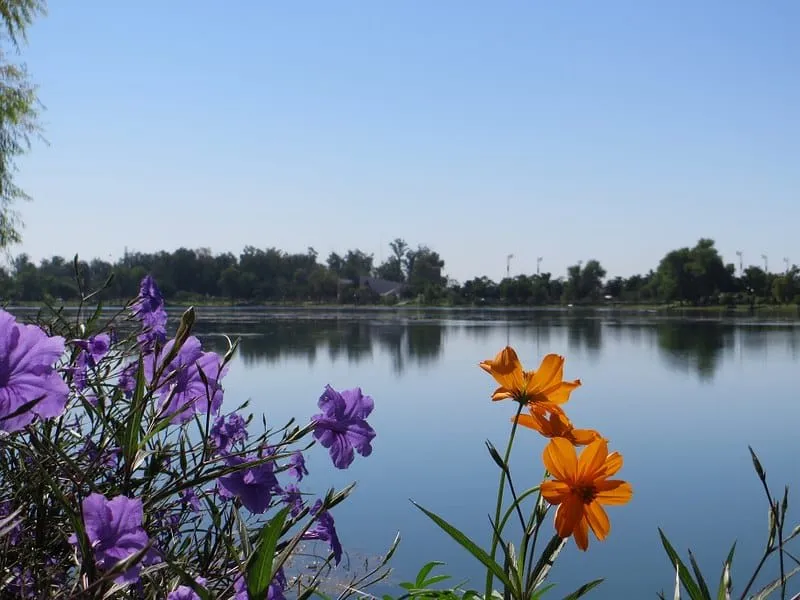 Náinari Lagoon with pedal boats and walking paths — called the 'bride of Ciudad Obregón'