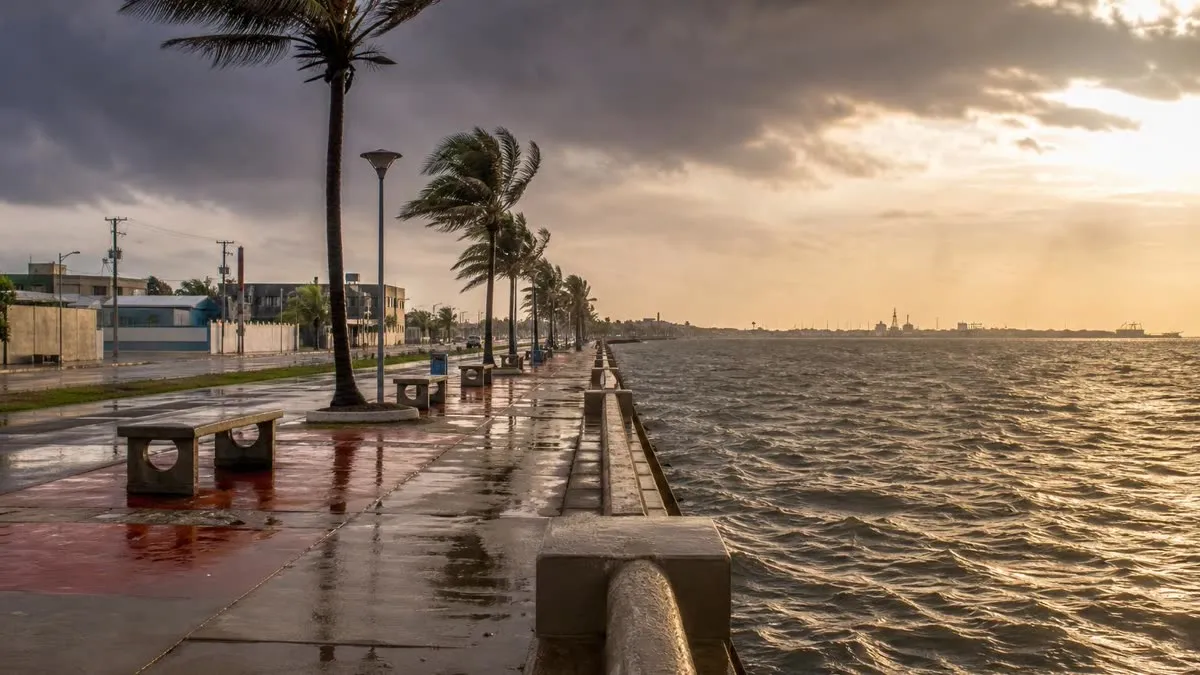 Coatzacoalcos malecon after October rain with Gulf clouds, palms, and wet pavement