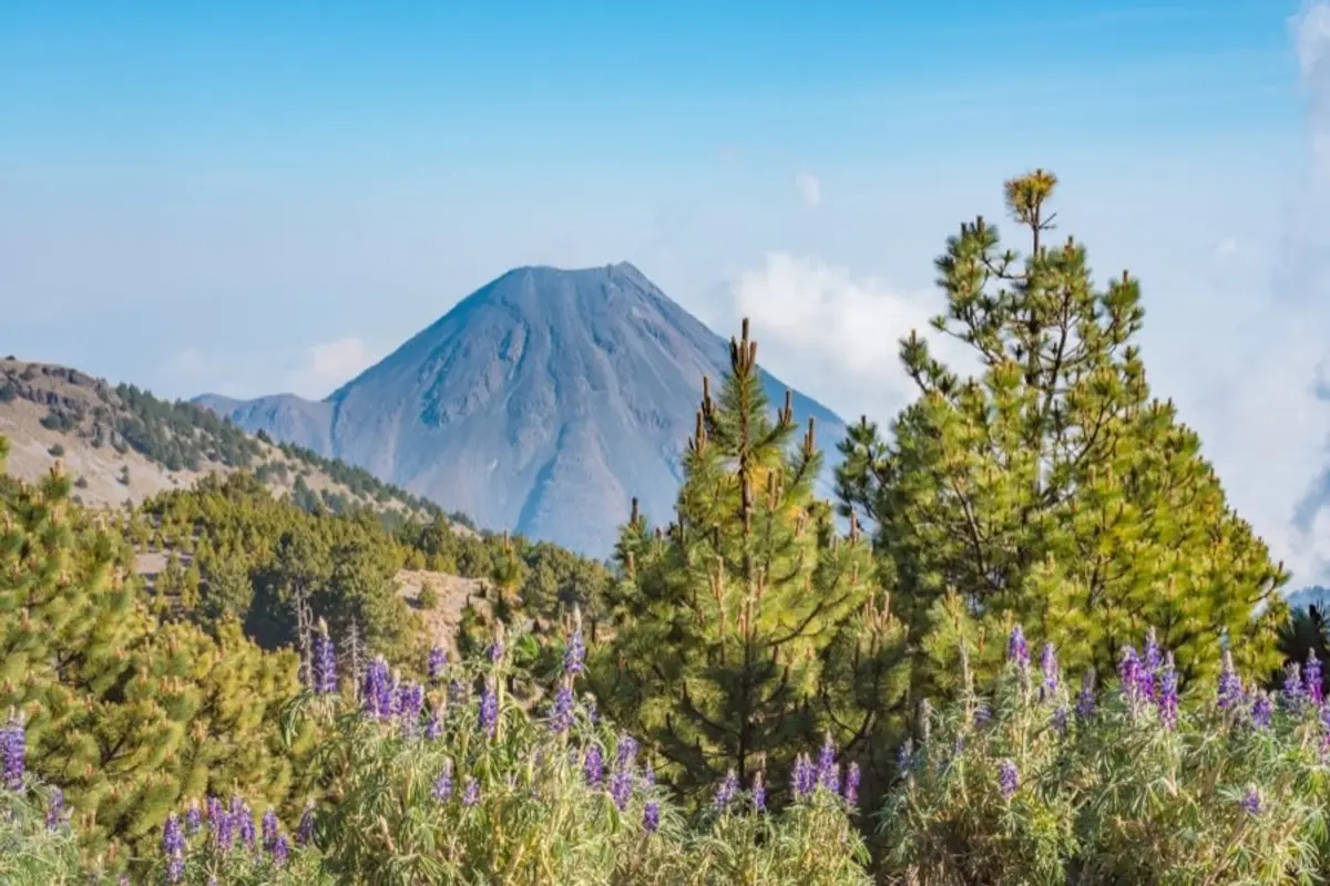 Colima in March: Weather & Travel Tips