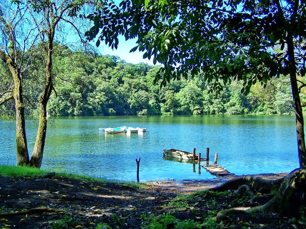 Tuba drink and traditional Colima street food pozole sopes and enchiladas at a market stall in Colima city