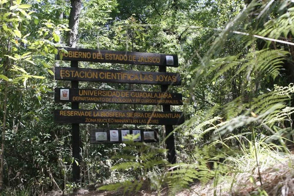 Sierra de Manantlan Biosphere Reserve Colima Jalisco Mexico cloud forest with dense tropical vegetation and biodiversity