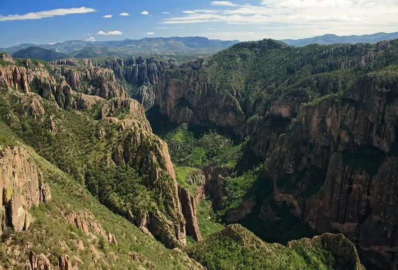 Copper Canyon rail route view with forested slopes and canyon walls