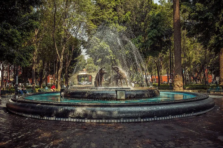 Coyoacan Chronicles: Unveiling the Cultural Gems of Mexico City