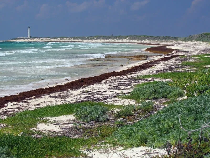 playa encantada — Best Beaches In Cozumel