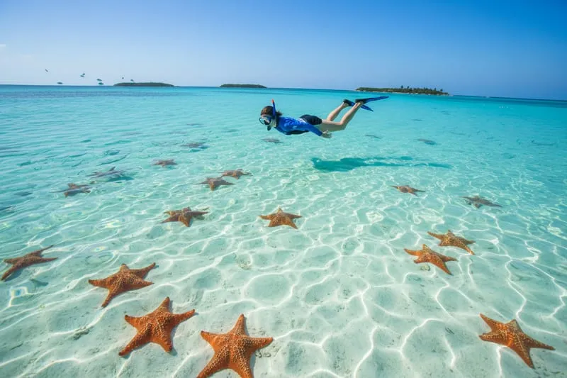 Snorkeler at El Cielo site in Cozumel with starfish on sandy bottom and clear water
