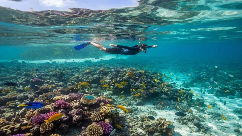 Cozumel in April final verdict for reef trips and post-Easter island travel