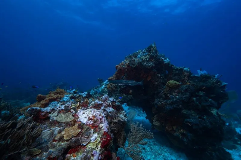 Cozumel month comparison for March, February, April, and summer