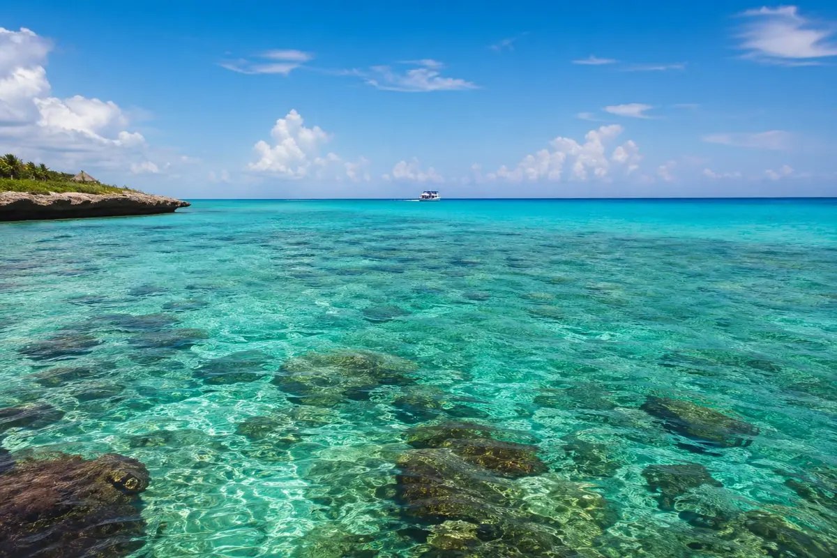 Cozumel in July 2026: Sargassum, Diving & Heat