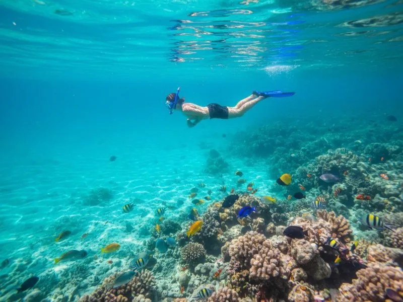 Clear turquoise water along Cozumel's west coast at the start of dry season