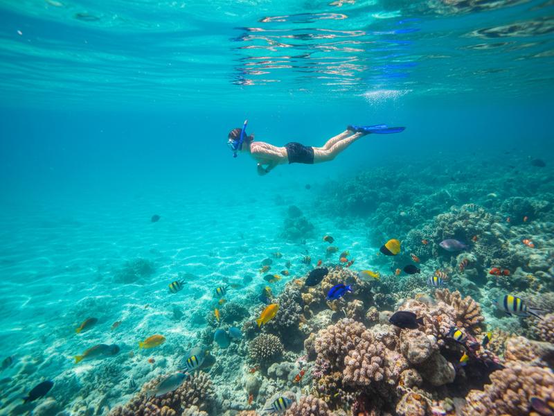 Palancar Reef aerial view — Cozumel's world-famous diving destination, part of the Mesoamerican Barrier Reef