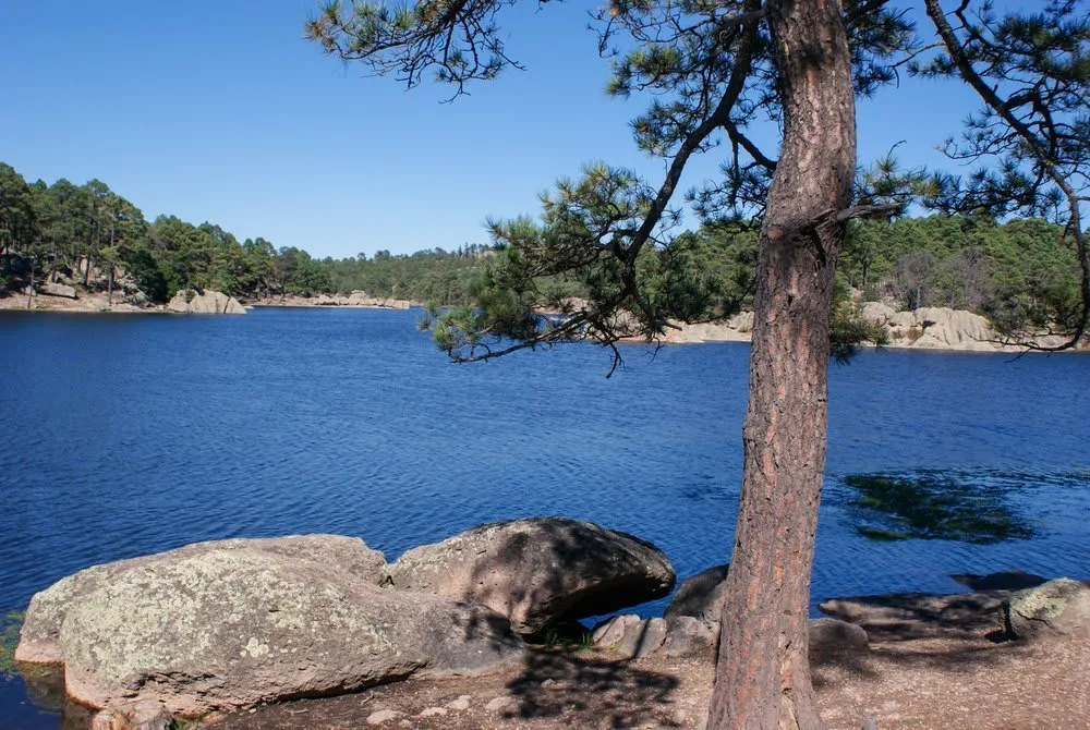 Lake Arareko near Creel Chihuahua with pine forest reflection in calm water and Sierra Madre mountains