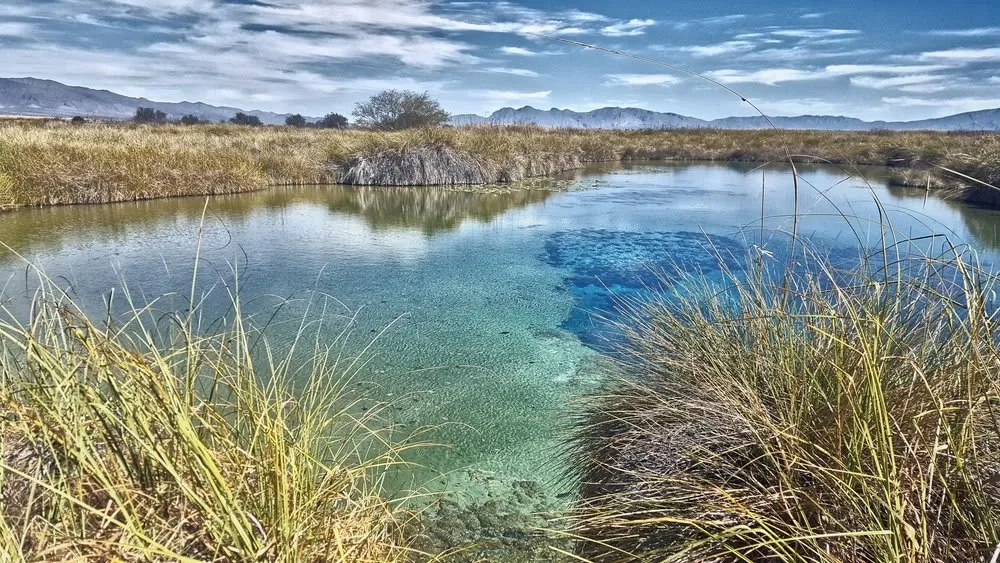 Blue water and desert trails at Poza Azul in the Coahuila reserve