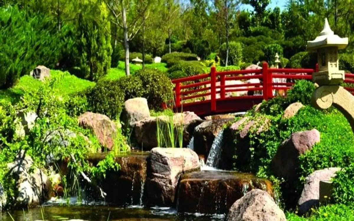 Cuernavaca in January: Weather, Gardens & CDMX Escape Tips