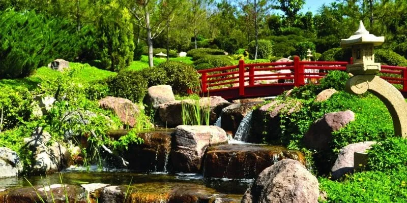 Shaded Cuernavaca garden with fountains, tropical plants, and stone walkways near a hotel pool