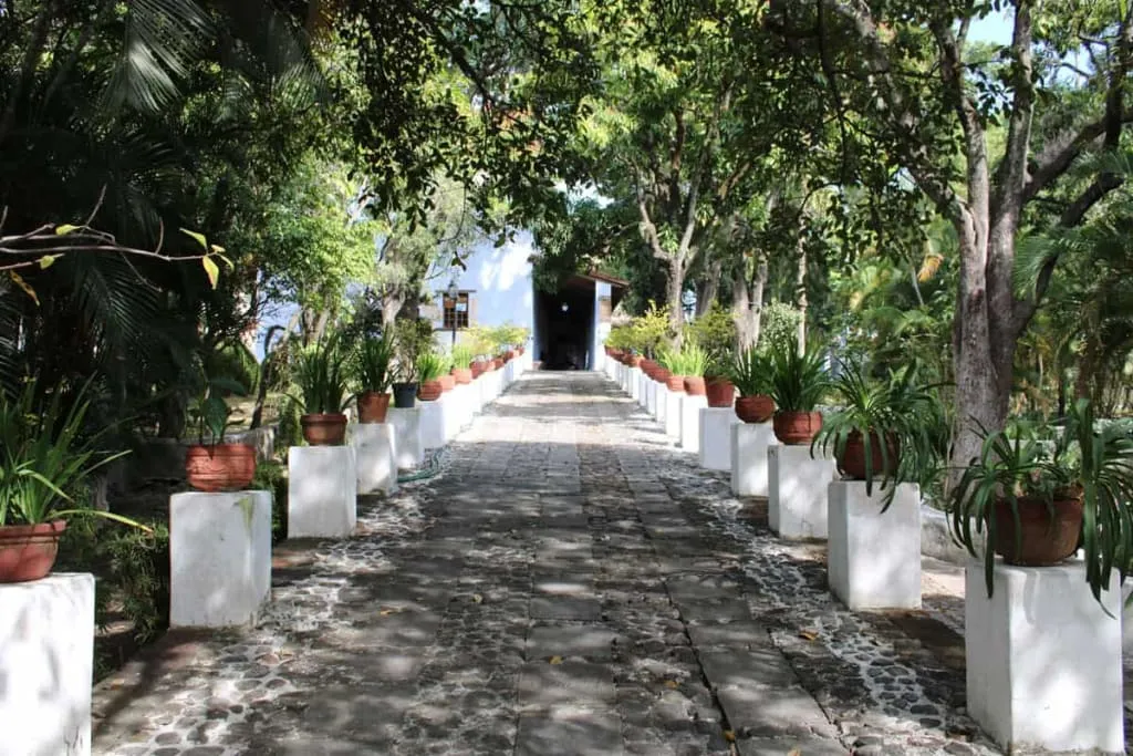 Jardín Borda in Cuernavaca — colonial botanical garden once used by Emperor Maximilian and Empress Carlota