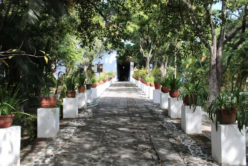 Borda Garden paths in Cuernavaca with clipped hedges, old walls, and leafy shade