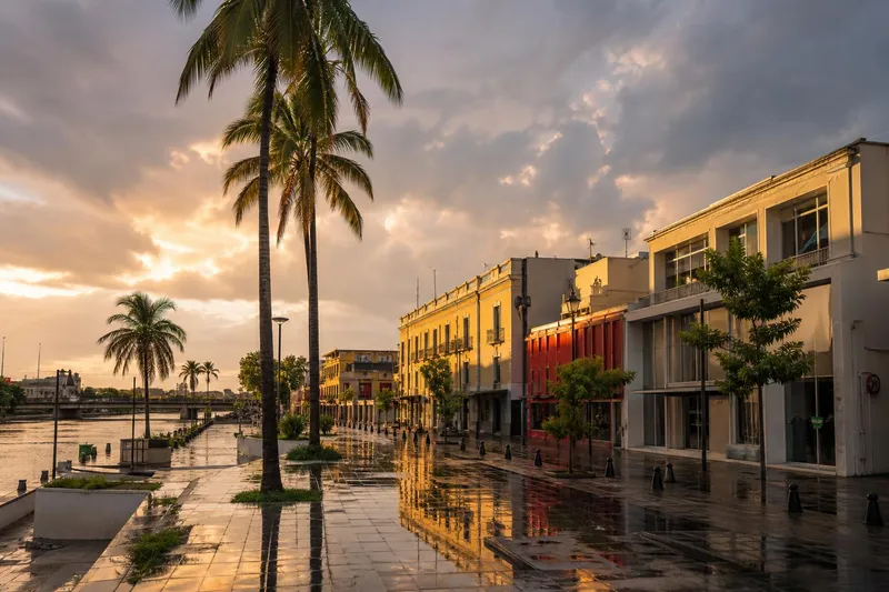 Wet palm-lined Culiacan plaza after an August rain shower with humid Sinaloa evening light