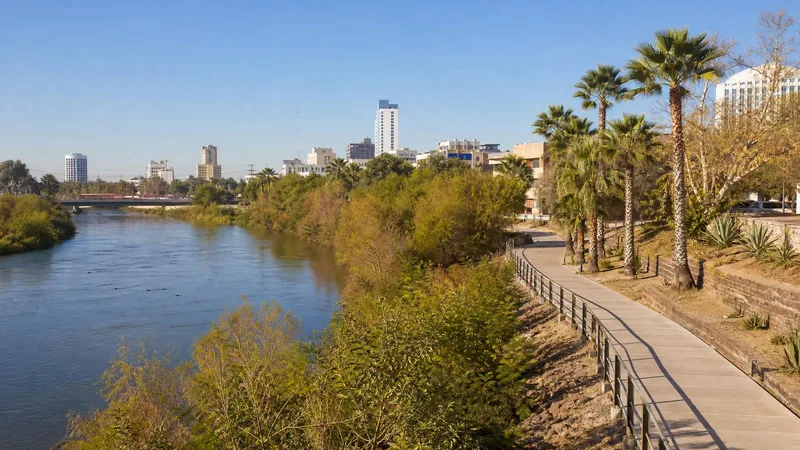 Dry-season Culiacan riverwalk with palms, clear January sky, and warm winter light