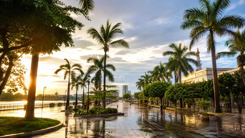 Palm-lined Culiacan plaza after light June rain with warm Sinaloa morning light