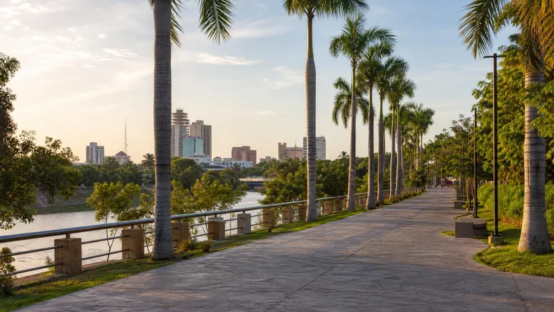Dry-season Culiacan walkway with palms and warm November light beside a city river