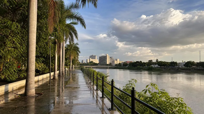 Wet riverside walkway in Culiacan with palms and warm October light after rain