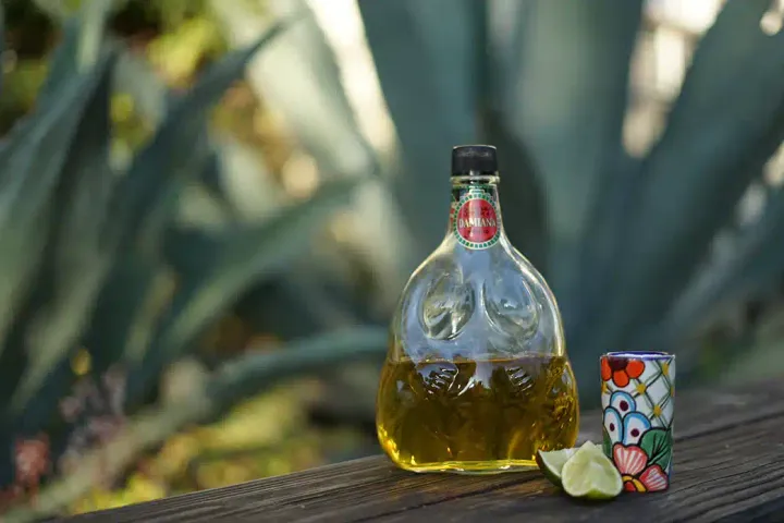 Damiana Liquor: Exploring the Tempting World of Baja&#8217;s Elixir