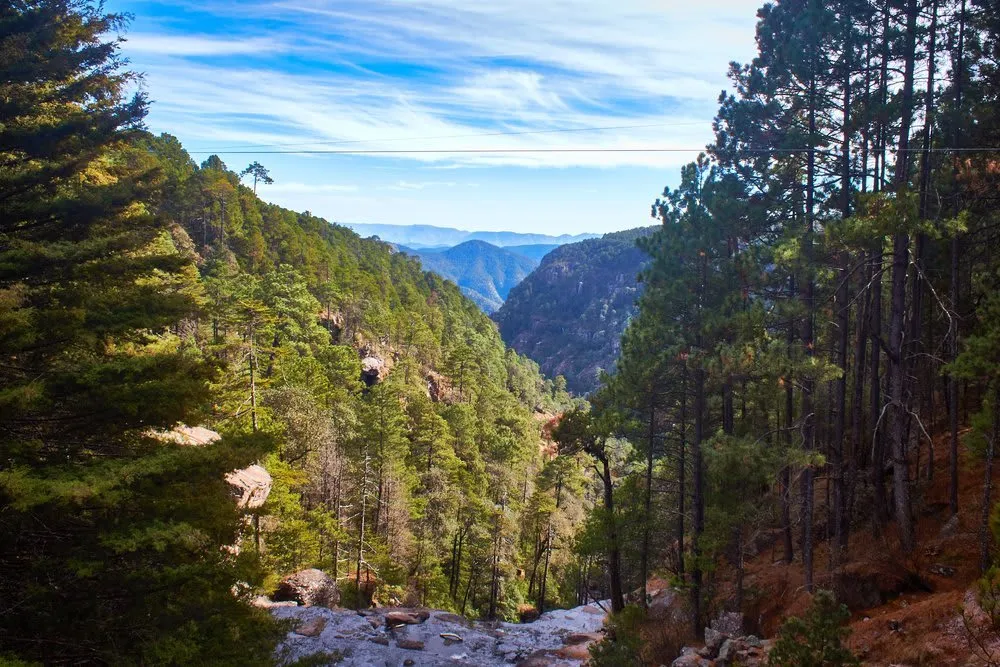 Snowy forest and rock formations in Mexiquillo Natural Park, Durango