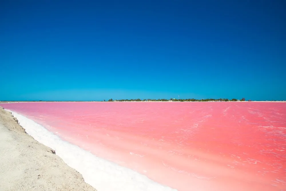 Pink flamingo lagoon at Ría Lagartos, Yucatán — a stunning end point for the Campeche-Yucatán road trip