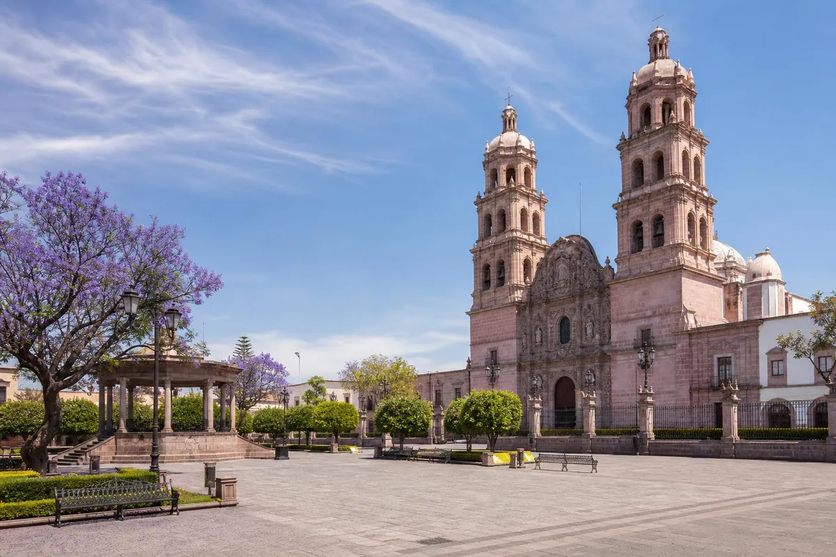 Durango cathedral plaza in clear March spring light with purple blossoms