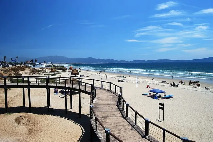 Ensenada in January: Weather, Whales & Wine