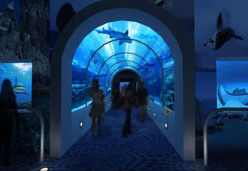 Acuario de Ensenada — the city aquarium showcasing marine life from the California Current and Baja Pacific coast
