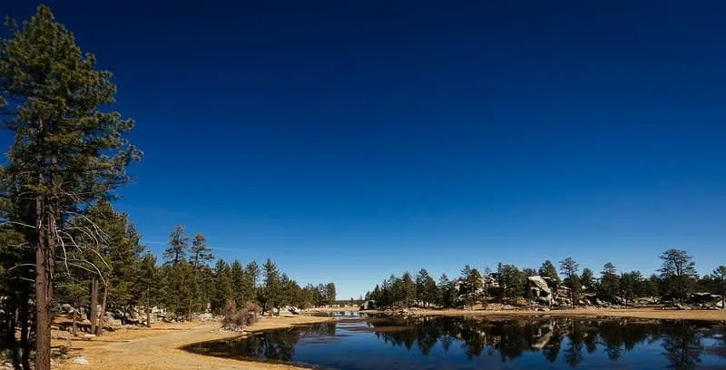 Parque Revolución in downtown Ensenada — the main civic park with gardens and the historic kiosk