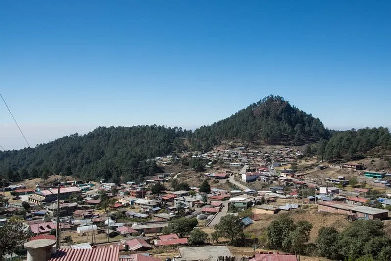 Wooden cabin on a grassy hillside with pine trees and mountains behind