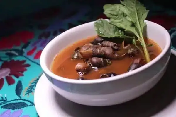 Caldo de shuti — freshwater snail broth from the rivers of Chiapas with tomato and aromatic herbs