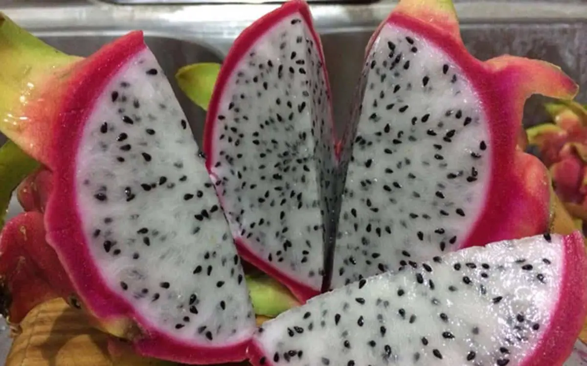 Fruits From Mexico: Juicy Delights from Mexico&#8217;s Sunny Orchards