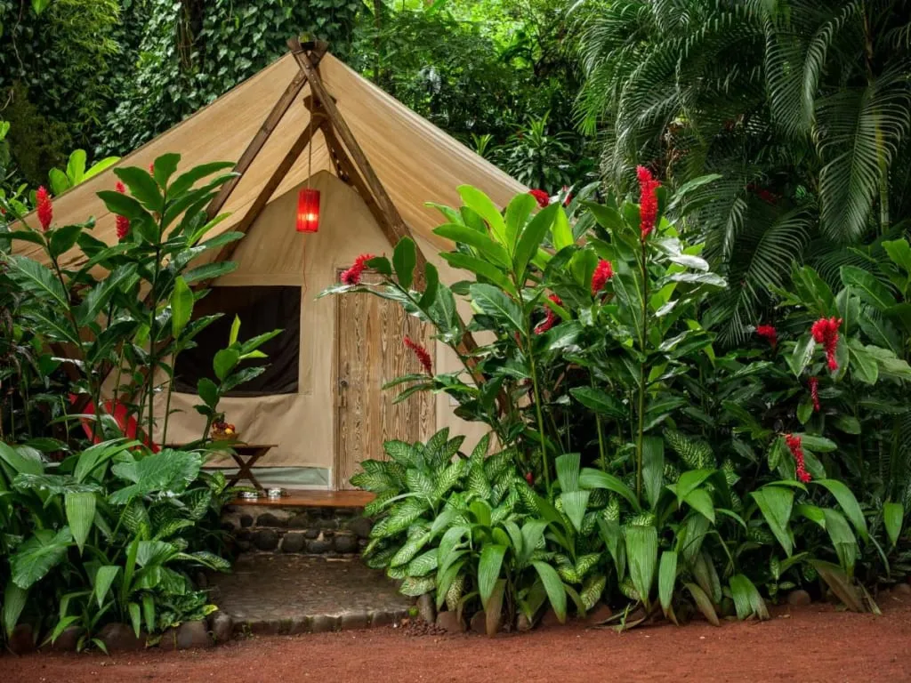glamping in mexico
