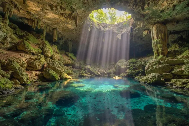 Gran Cenote Tulum 2026: Price, Hours, Best Time, and Is It Worth It?