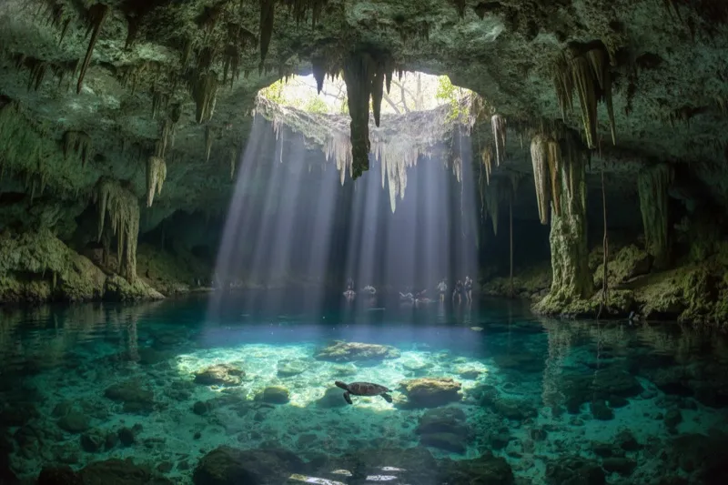 Gran Cenote Tulum with crystal-clear turquoise water surrounded by stalactites and tropical vegetation
