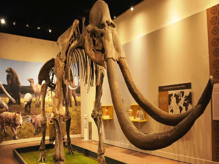 Semana Santa in Guadalajara 2026: Dates, Processions & Best Events