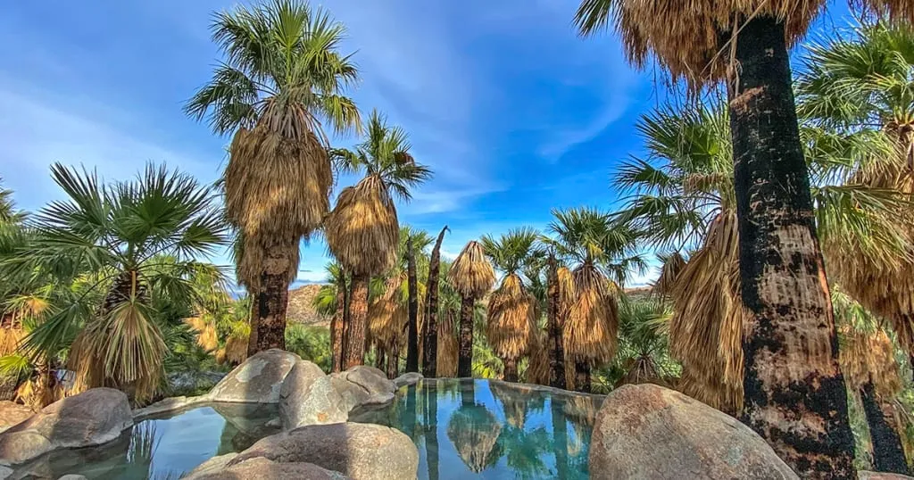 Guadalupe Canyon hot springs in Sierra de Cucapah Baja California — desert oasis with multiple thermal pools and cold water pools