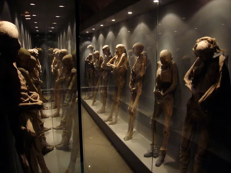 Mummies of Guanajuato museum entrance, a useful indoor stop during July rain