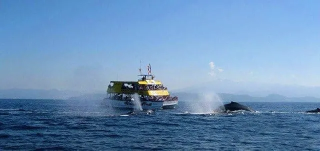 guayabitos — Guayabitos Nayarit Mexico