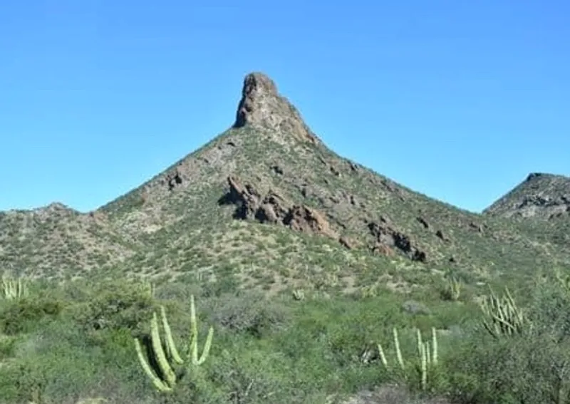 Rocky Sea of Cortez coast near Guaymas under bright April dry-season weather