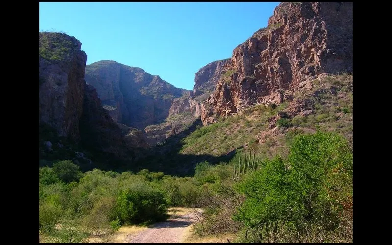 Nacapule Canyon palms and red rock outside San Carlos during a February Sonora coast trip